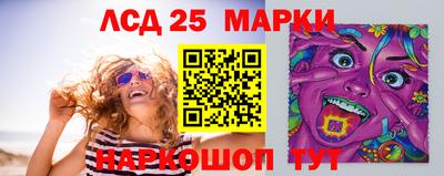 индика Заволжье
