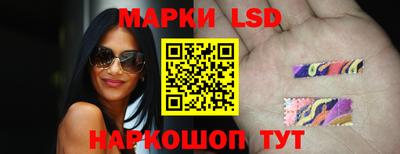 индика Заволжье