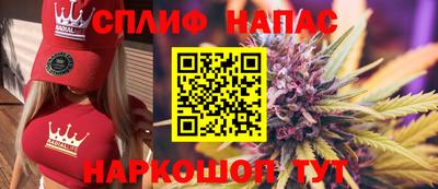 индика Заволжье