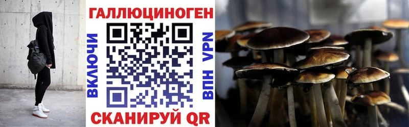 купить наркотики сайты  Люберцы  Псилоцибиновые грибы Psilocybine cubensis 